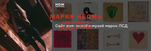 дживик Баксан