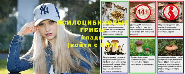 дживик Баксан