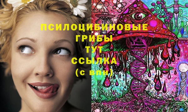 дживик Баксан
