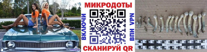 Галлюциногенные грибы Psilocybine cubensis  Благодарный 