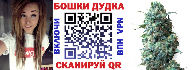 цена   Благодарный  Канабис конопля 